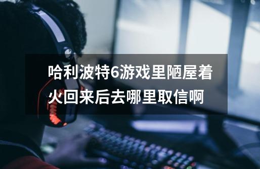 哈利波特6游戏里陋屋着火回来后去哪里取信啊-第1张-游戏信息-龙启网
