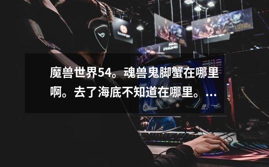 魔兽世界5.4。魂兽鬼脚蟹在哪里啊。去了海底不知道在哪里。下面有个地图。看下是不是。那一块是刷新点-第1张-游戏信息-龙启网