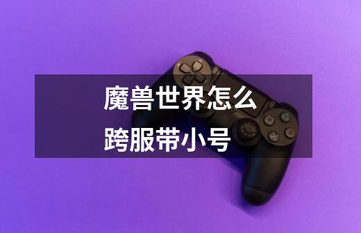 魔兽世界怎么跨服带小号-第1张-游戏信息-龙启网
