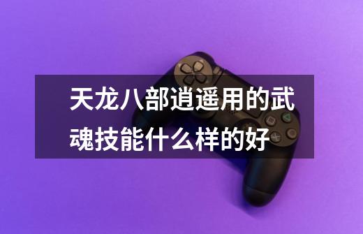 天龙八部逍遥用的武魂技能什么样的好-第1张-游戏信息-龙启网