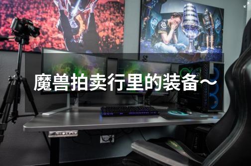 魔兽拍卖行里的装备~-第1张-游戏信息-龙启网