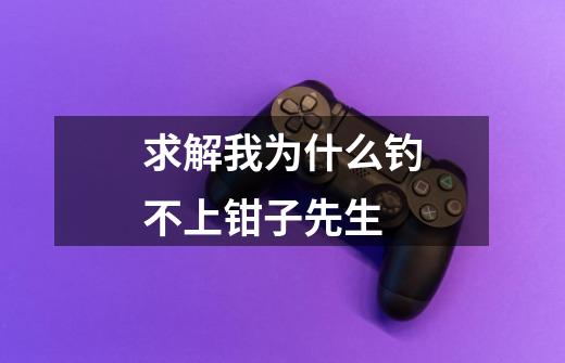 求解我为什么钓不上钳子先生-第1张-游戏信息-龙启网