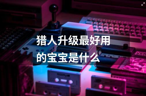 猎人升级最好用的宝宝是什么-第1张-游戏信息-龙启网