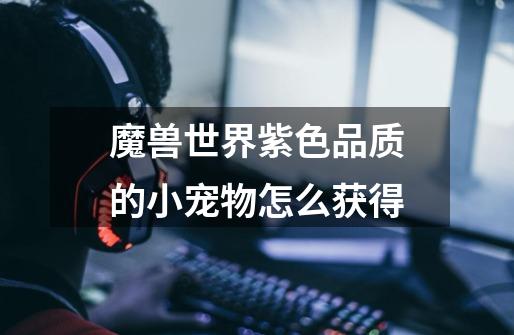 魔兽世界紫色品质的小宠物怎么获得-第1张-游戏信息-龙启网