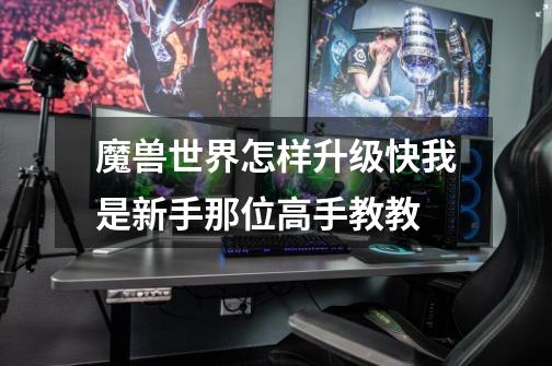 魔兽世界怎样升级快我是新手那位高手教教-第1张-游戏信息-龙启网