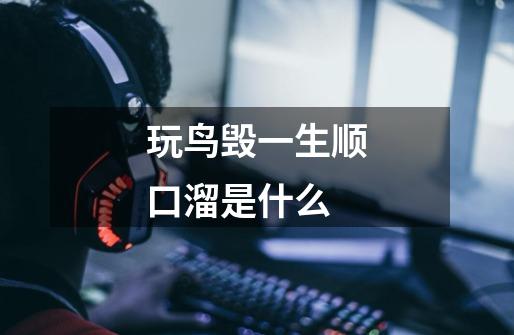 玩鸟毁一生顺口溜是什么-第1张-游戏信息-龙启网