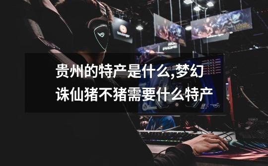 贵州的特产是什么?,梦幻诛仙猪不猪需要什么特产-第1张-游戏信息-龙启网