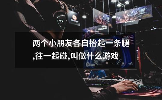两个小朋友各自抬起一条腿,往一起碰,叫做什么游戏-第1张-游戏信息-龙启网