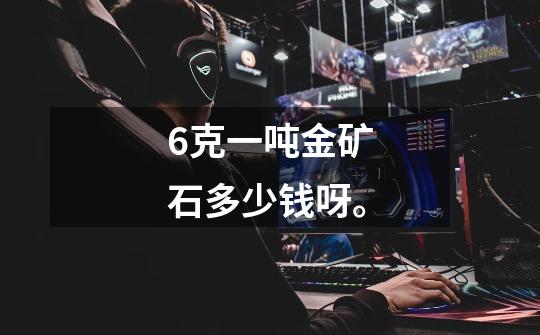 6克一吨金矿石多少钱呀。-第1张-游戏信息-龙启网