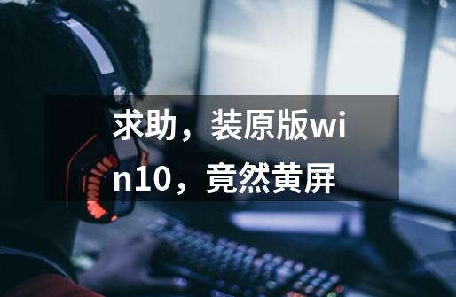 求助，装原版win10，竟然黄屏-第1张-游戏信息-龙启网