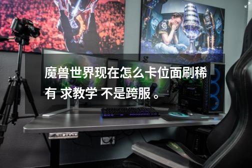 魔兽世界现在怎么卡位面刷稀有 求教学 不是跨服 。-第1张-游戏信息-龙启网