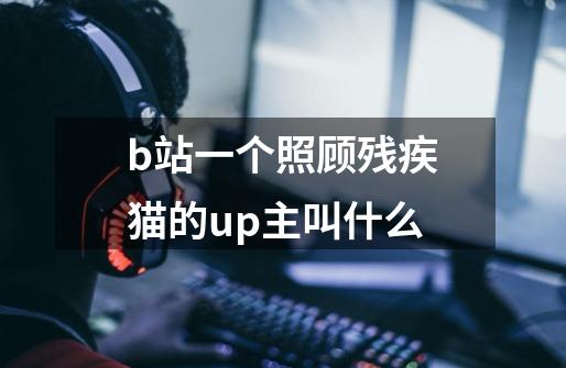 b站一个照顾残疾猫的up主叫什么-第1张-游戏信息-龙启网