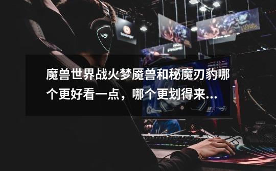 魔兽世界战火梦魇兽和秘魔刃豹哪个更好看一点,哪个更划得来,请买过的朋友说说-第1张-游戏信息-龙启网