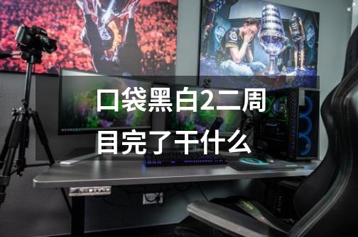 口袋黑白2二周目完了干什么-第1张-游戏信息-龙启网
