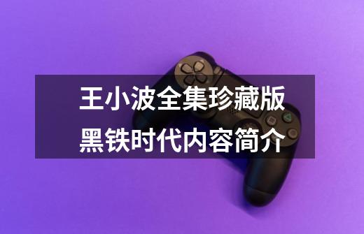 王小波全集珍藏版黑铁时代内容简介-第1张-游戏信息-龙启网