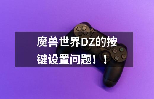 魔兽世界DZ的按键设置问题！！-第1张-游戏信息-龙启网