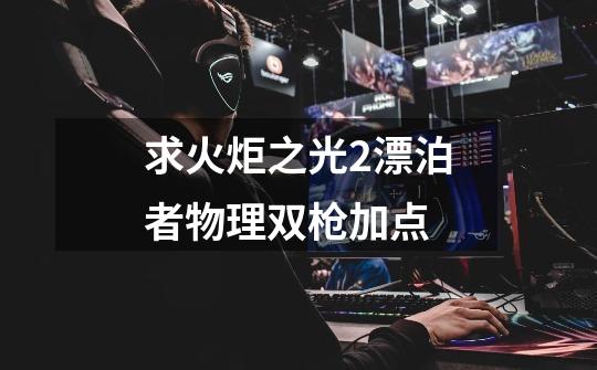 求火炬之光2漂泊者物理双枪加点-第1张-游戏信息-龙启网