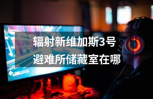 辐射新维加斯3号避难所储藏室在哪-第1张-游戏信息-龙启网
