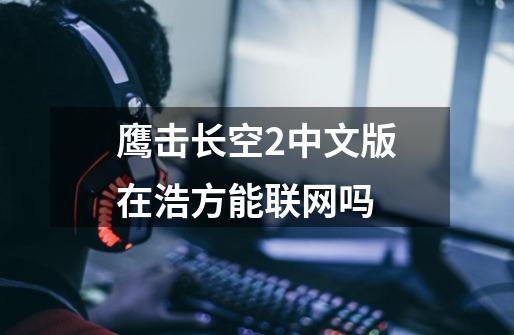鹰击长空2中文版在浩方能联网吗-第1张-游戏信息-龙启网