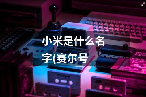 小米是什么名字(赛尔号-第1张-游戏信息-龙启网