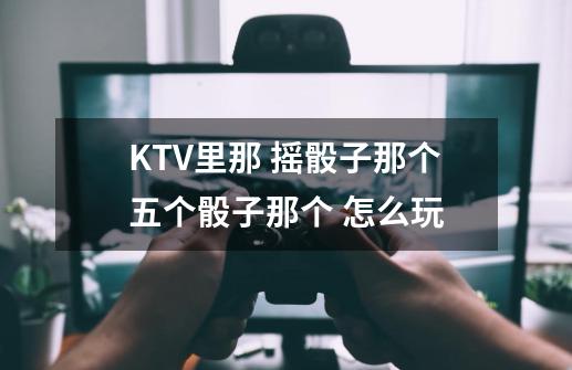 KTV里那 摇骰子那个五个骰子那个 怎么玩-第1张-游戏信息-龙启网