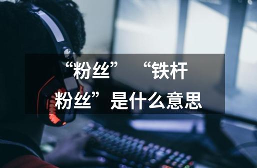“粉丝” “铁杆粉丝”是什么意思-第1张-游戏信息-龙启网