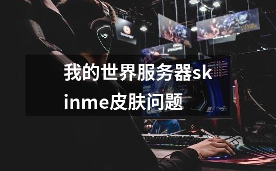 我的世界服务器skinme皮肤问题-第1张-游戏信息-龙启网