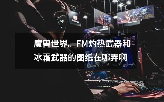 魔兽世界。FM灼热武器和冰霜武器的图纸在哪弄啊-第1张-游戏信息-龙启网