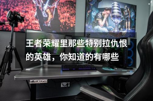 王者荣耀里那些特别拉仇恨的英雄,你知道的有哪些-第1张-游戏信息-龙启网