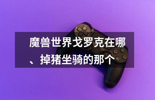 魔兽世界戈罗克在哪、掉猪坐骑的那个-第1张-游戏信息-龙启网