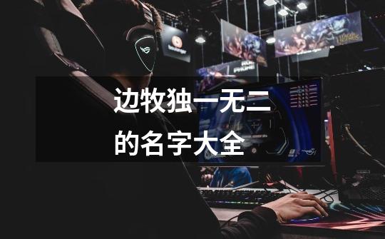 边牧独一无二的名字大全-第1张-游戏信息-龙启网