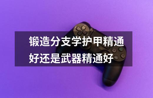 锻造分支学护甲精通好还是武器精通好-第1张-游戏信息-龙启网
