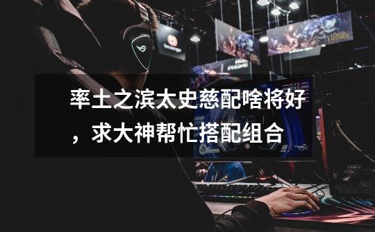 率土之滨太史慈配啥将好，求大神帮忙搭配组合-第1张-游戏信息-龙启网