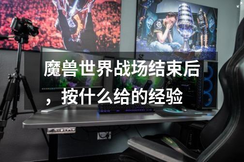 魔兽世界战场结束后,按什么给的经验-第1张-游戏信息-龙启网