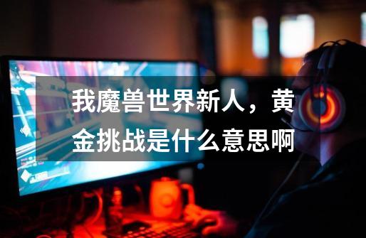 我魔兽世界新人,黄金挑战是什么意思啊-第1张-游戏信息-龙启网