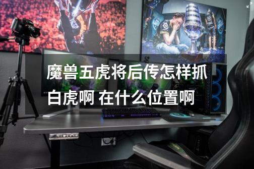 魔兽五虎将后传怎样抓白虎啊 在什么位置啊-第1张-游戏信息-龙启网