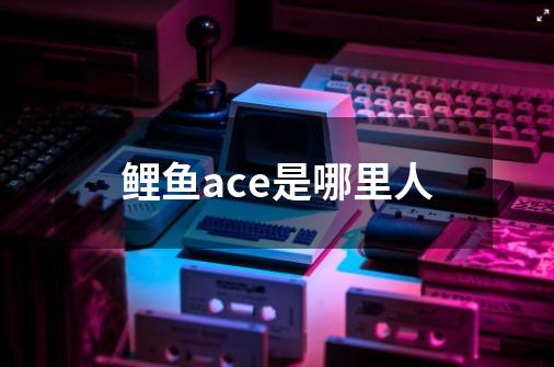 鲤鱼ace是哪里人-第1张-游戏信息-龙启网