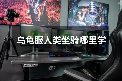 乌龟服人类坐骑哪里学-第1张-游戏信息-龙启网