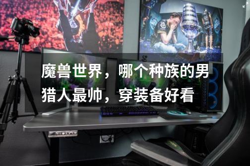 魔兽世界,哪个种族的男猎人最帅,穿装备好看-第1张-游戏信息-龙启网