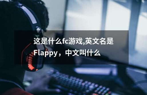 这是什么fc游戏,英文名是Flappy，中文叫什么-第1张-游戏信息-龙启网