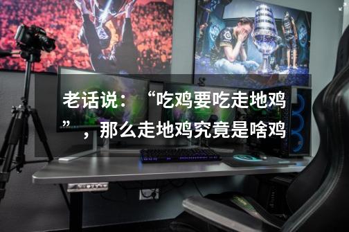 老话说:“吃鸡要吃走地鸡”,那么走地鸡究竟是啥鸡-第1张-游戏信息-龙启网