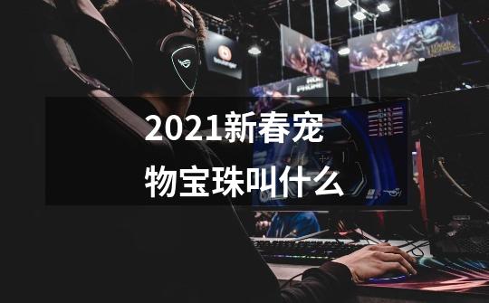 2021新春宠物宝珠叫什么-第1张-游戏信息-龙启网