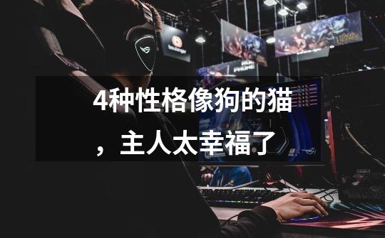 4种性格像狗的猫，主人太幸福了-第1张-游戏信息-龙启网