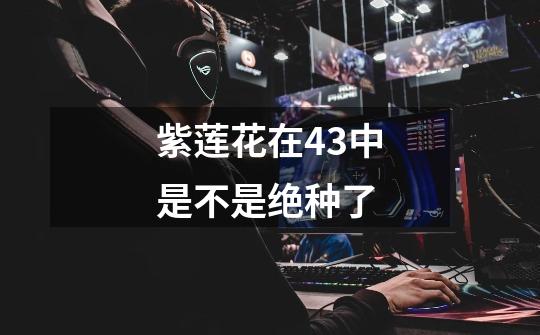 紫莲花在4.3中是不是绝种了-第1张-游戏信息-龙启网