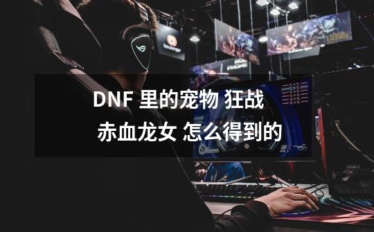 DNF 里的宠物 狂战 赤血龙女 怎么得到的-第1张-游戏信息-龙启网
