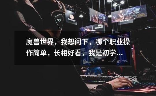 魔兽世界，我想问下，哪个职业操作简单，长相好看，我是初学者女玩家-第1张-游戏信息-龙启网