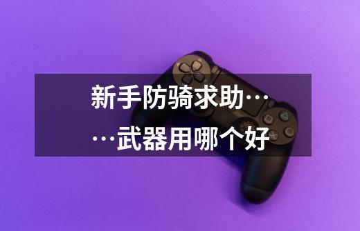 新手防骑求助……武器用哪个好-第1张-游戏信息-龙启网