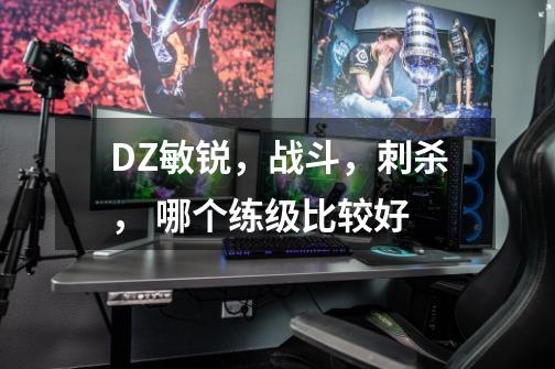 DZ敏锐，战斗，刺杀， 哪个练级比较好-第1张-游戏信息-龙启网