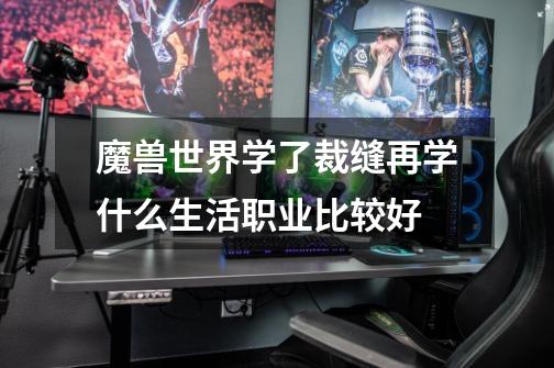 魔兽世界学了裁缝再学什么生活职业比较好-第1张-游戏信息-龙启网