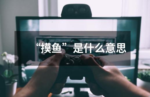“摸鱼”是什么意思-第1张-游戏信息-龙启网